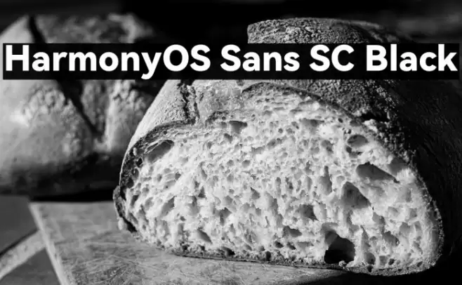 HarmonyOS Sans SC Black Font examples