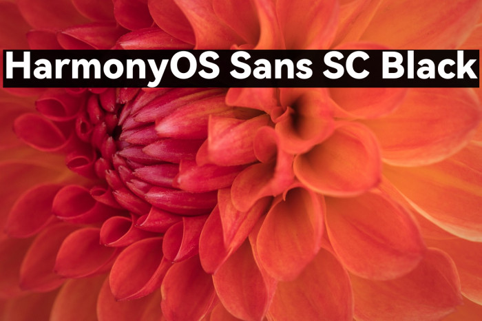 HarmonyOS Sans SC Black Example 3