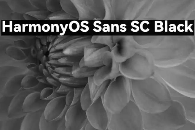 HarmonyOS Sans SC Black Font examples