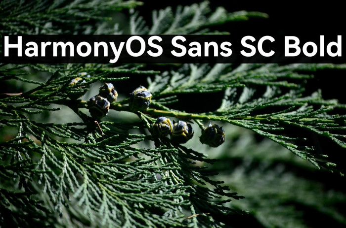 HarmonyOS Sans SC Bold Example 1