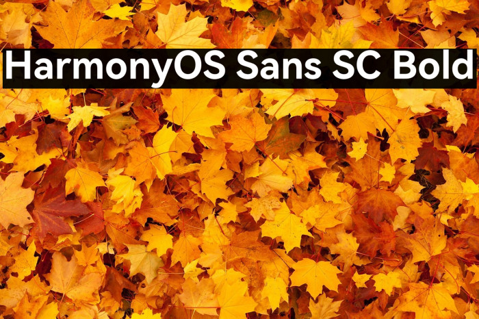 HarmonyOS Sans SC Bold Example 3