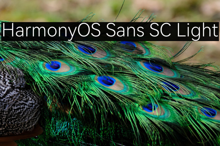 HarmonyOS Sans SC Light Example 2