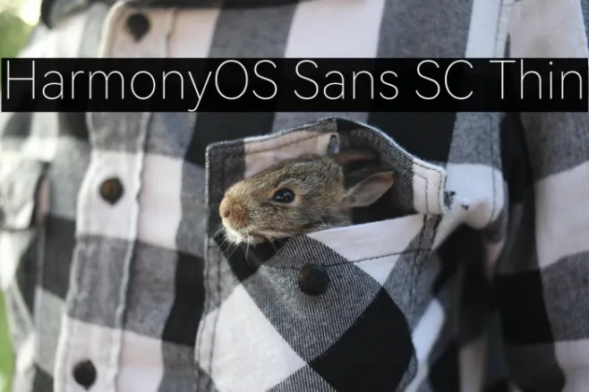 HarmonyOS Sans SC Thin Example 2