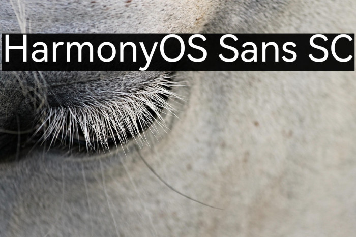 HarmonyOS Sans SC Example 2