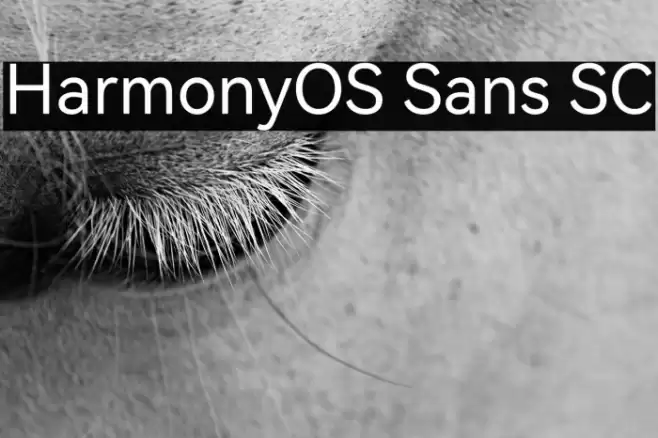 HarmonyOS Sans SC خط examples