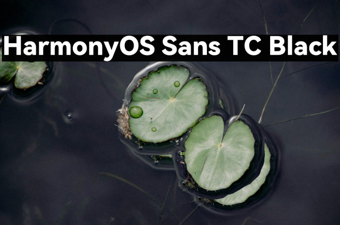HarmonyOS Sans TC Black Example 3