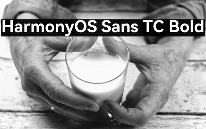 HarmonyOS Sans TC Bold Example 1