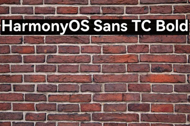HarmonyOS Sans TC Bold Example 3