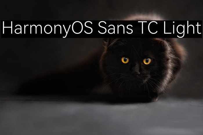 HarmonyOS Sans TC Light Example 1