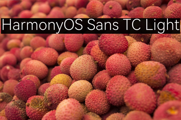 HarmonyOS Sans TC Light Example 2