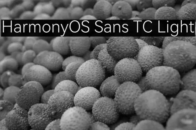 HarmonyOS Sans TC Light Font examples