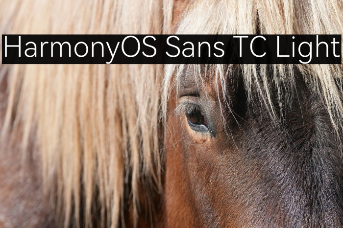 HarmonyOS Sans TC Light Example 3