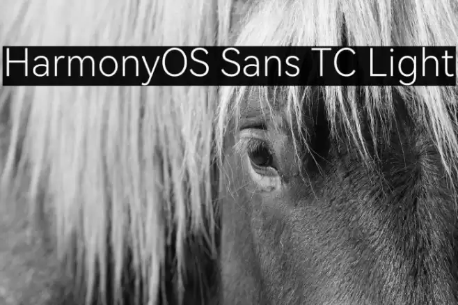 HarmonyOS Sans TC Light Font examples