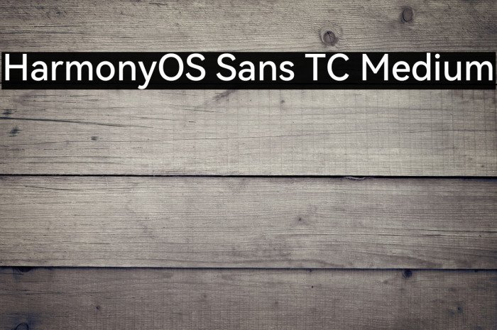 HarmonyOS Sans TC Medium Example 1