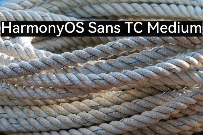 HarmonyOS Sans TC Medium Example 2