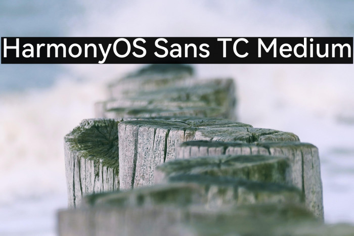 HarmonyOS Sans TC Medium Example 3
