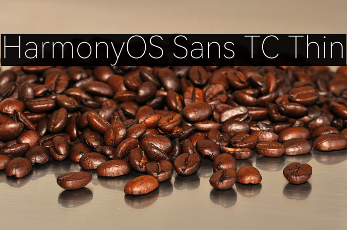 HarmonyOS Sans TC Thin Example 1