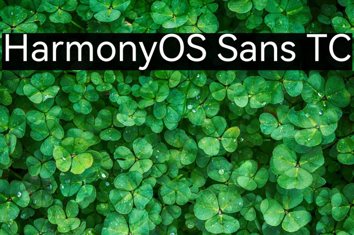 HarmonyOS Sans TC Example 2