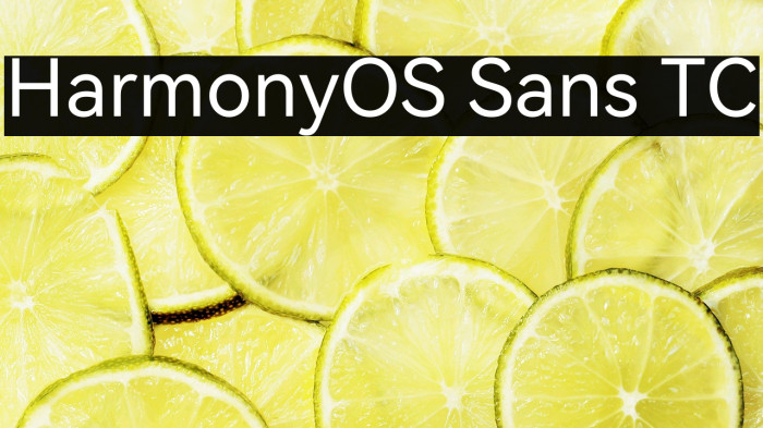 HarmonyOS Sans TC Example 3