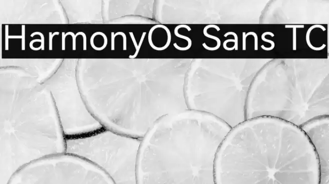 HarmonyOS Sans TC Fuentes examples