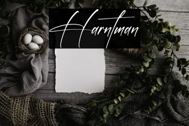 Harntman Example 1