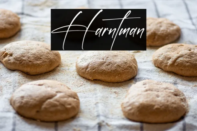 Harntman Example 2