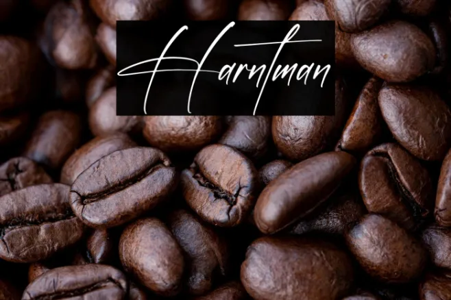 Harntman Example 3