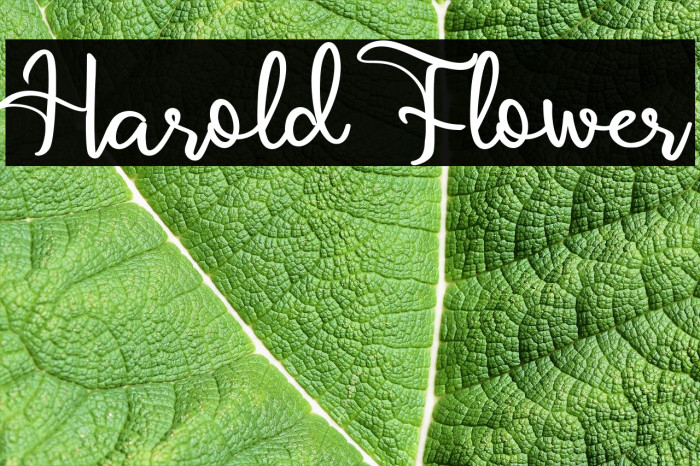 Harold Flower Font examples
