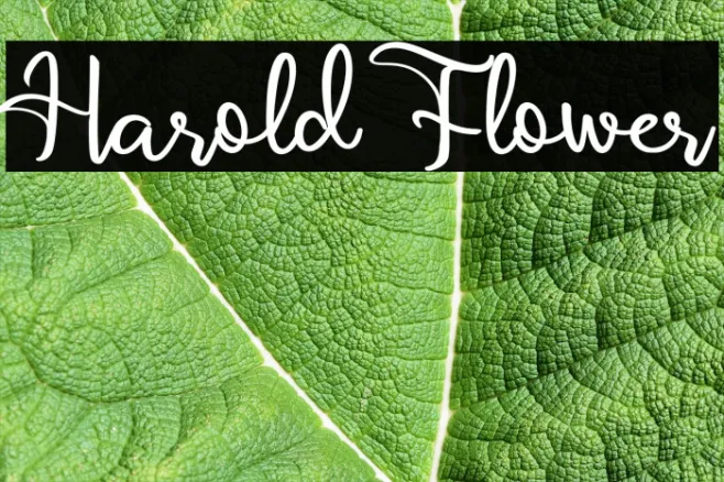 Harold Flower Example 2