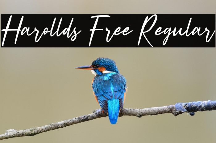 Harollds Free Regular Example 1
