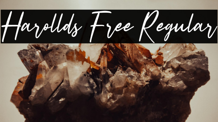 Harollds Free Regular Example 3