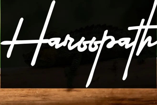 Haroopath Example 1