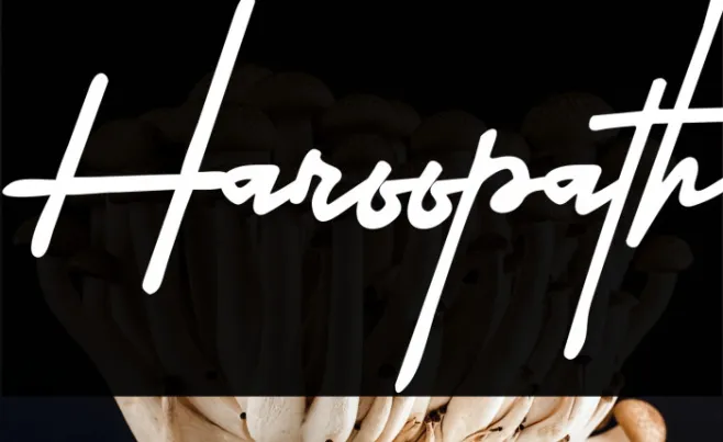 Haroopath Example 2
