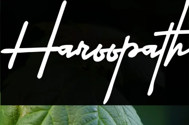 Haroopath Example 3