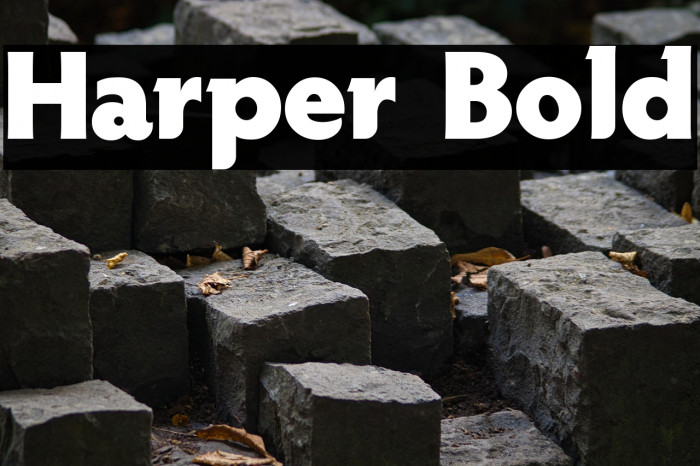 Harper Bold Example 2