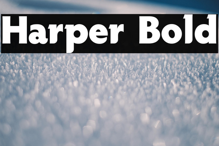 Harper Bold Example 3
