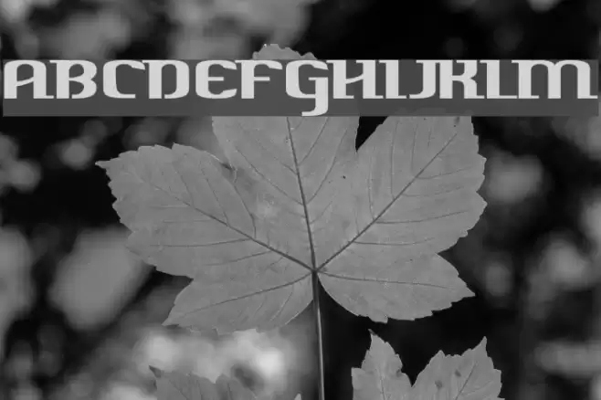 Harper Free Version フォント examples