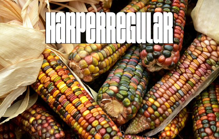 Harper Regular Example 3