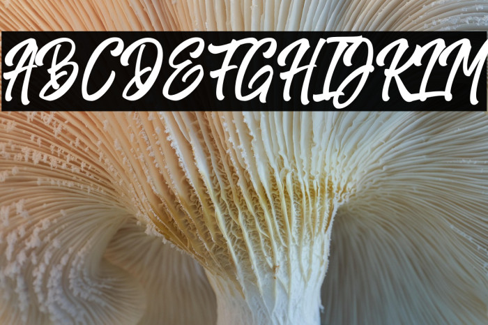 HarpertDemo Example 1