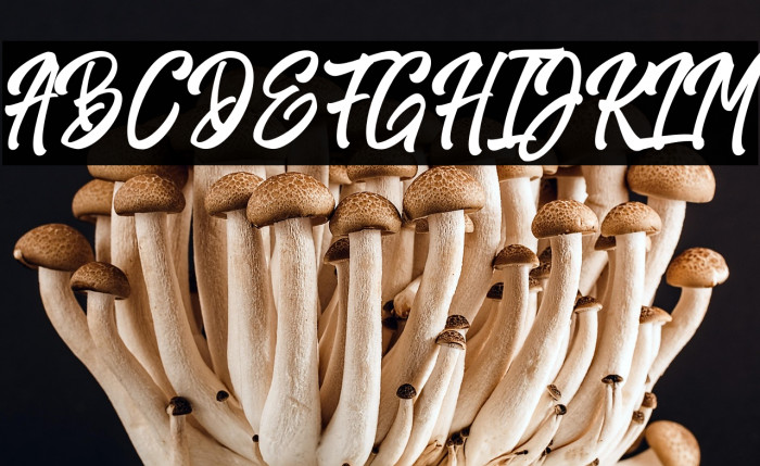 HarpertDemo Example 2