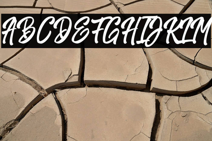 HarpertScript Example 2