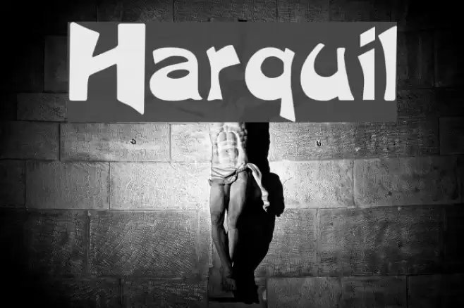 Harquil Font examples
