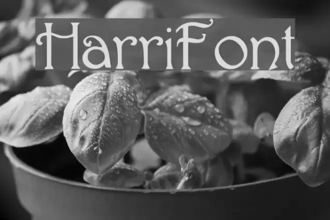 Harri Font examples