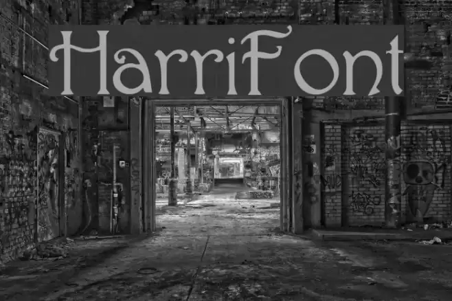 Harri Font examples
