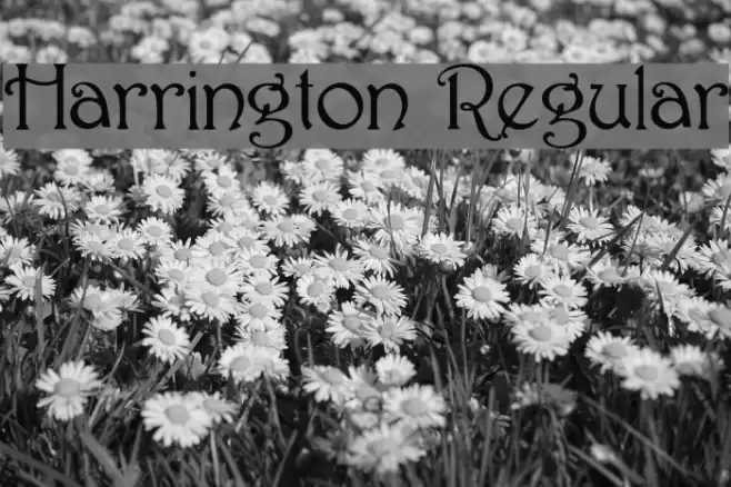 Harrington Regular Font examples