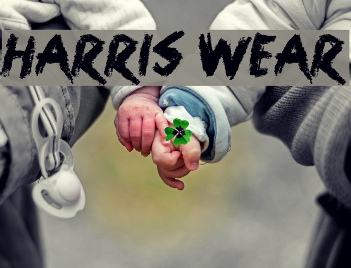 Harris Wear Font examples