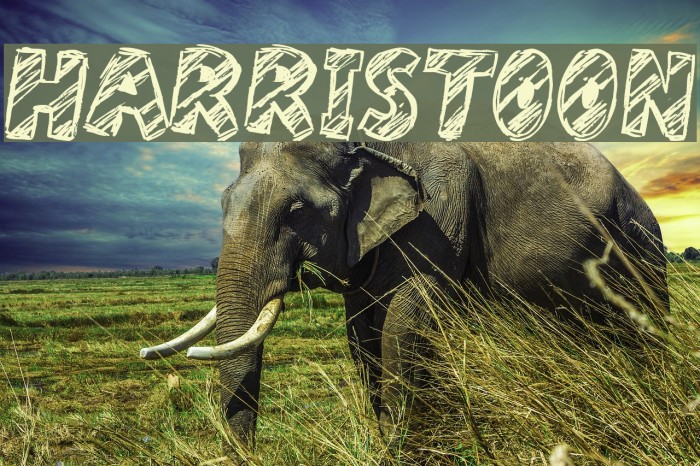 Harristoon Example 1