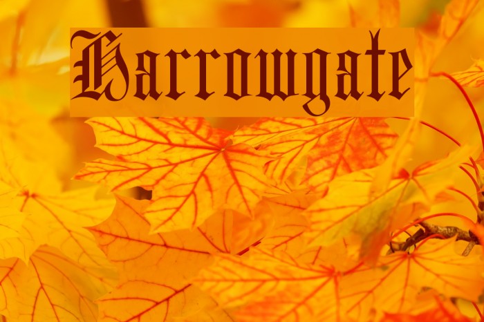 Harrowgate Font examples