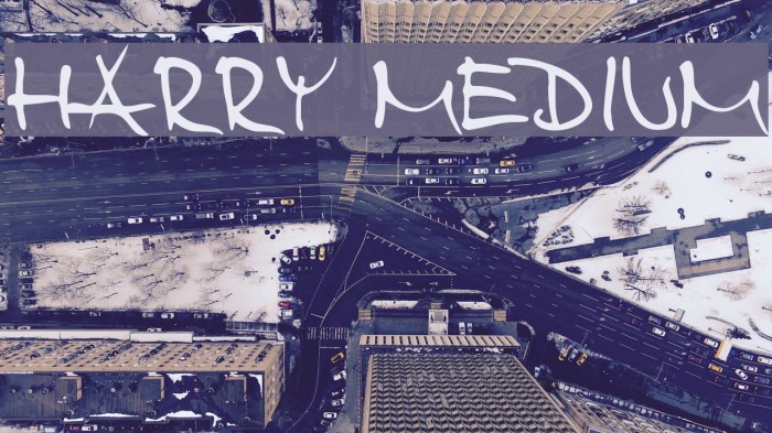 Harry Medium Font examples
