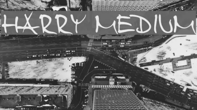 Harry Medium Fuentes examples